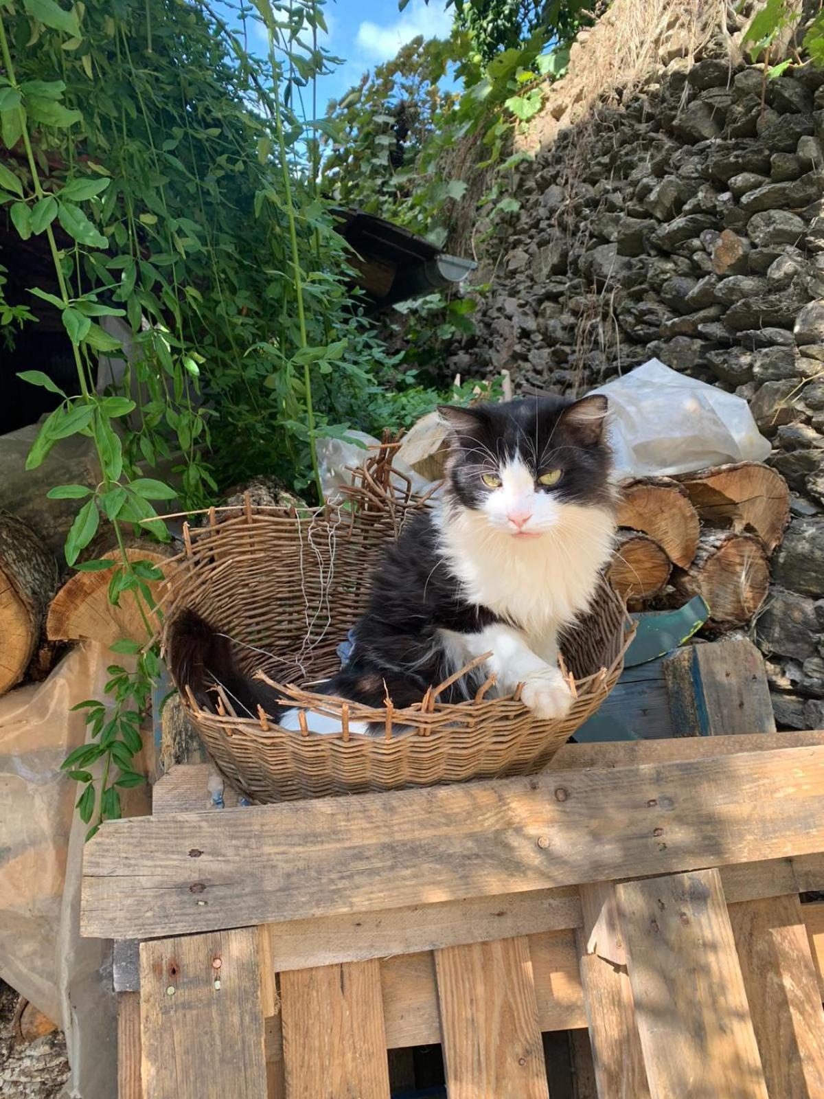 Apartmán Casa Manadero Robledillo De Gata Pokoj fotografie